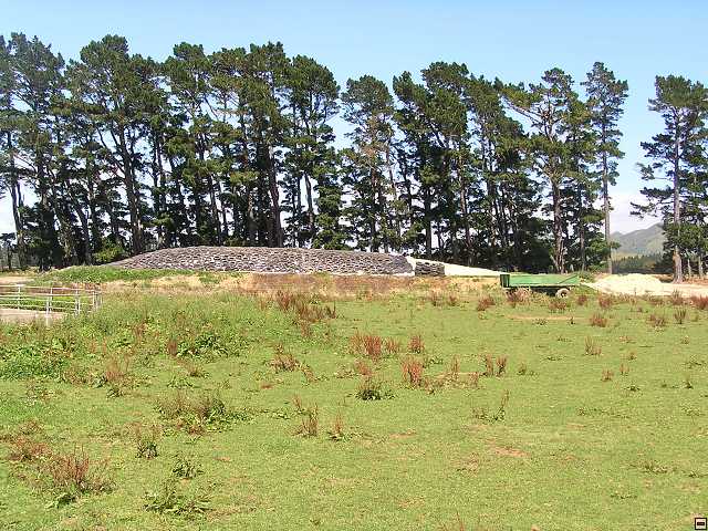 NZ leden-unor 2006 103.jpg